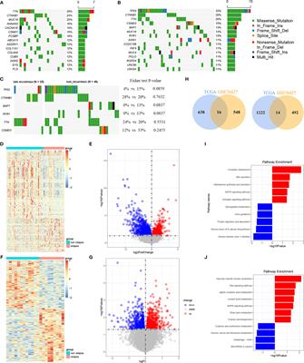 Comprehensive Molecular Analyses of a Six-Gene Signature for Predicting Late Recurrence of Hepatocellular Carcinoma